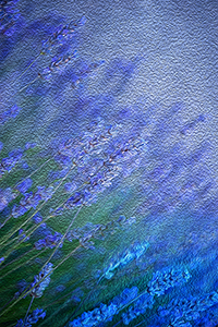 Nature abstraite